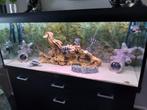 Aquarium, Dieren en Toebehoren, Ophalen, Zo goed als nieuw, Leeg aquarium
