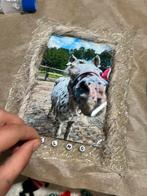 Leuk portret voor pony/paard, Dieren en Toebehoren, Paarden en Pony's | Overige Paardenspullen, Ophalen of Verzenden, Nieuw, Overige soorten
