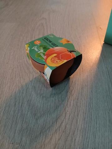 Opruiming: Groei Kadootje Pompoen doos 30 stuks  beschikbaar voor biedingen