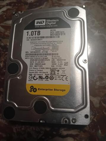 WD 1TB HDD - Getest & Formatteerd beschikbaar voor biedingen