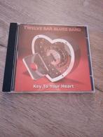 12 Bar Blues Band, Ophalen of Verzenden, 1980 tot heden, Zo goed als nieuw, Blues