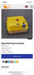Automatische Broedmachine / heg Harching incubator, Ophalen of Verzenden, Zo goed als nieuw, Broedmachine