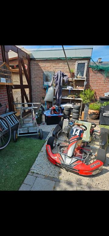Rotax max senior 125 cc beschikbaar voor biedingen