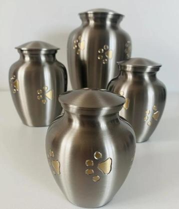 Urn Klassiek Goud met Pootafdruk beschikbaar voor biedingen