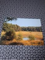 Oude ansichtkaart Valkenswaard - De Malpie, Ophalen of Verzenden