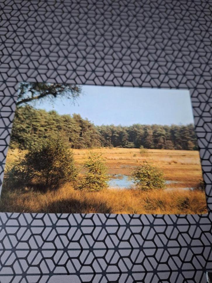 Oude ansichtkaart Valkenswaard - De Malpie, Antiek en Kunst, Kunst | Schilderijen | Abstract, Ophalen of Verzenden