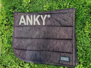 Zwart goud anky dekje dressuur. beschikbaar voor biedingen