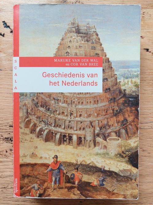 Geschiedenis van het Nederlands - Taalgeschiedenis, Boeken, Geschiedenis | Vaderland, Gelezen, 20e eeuw of later, Ophalen of Verzenden