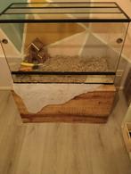 Hamsterkooi, Ophalen of Verzenden