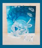 Swarovski Wonder of the Sea Zeeschildpad: 2006, gekleurd, Verzamelen, Swarovski, Ophalen of Verzenden, Zo goed als nieuw, Figuurtje