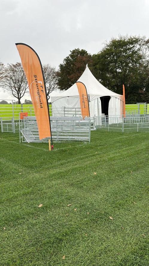 weide poorten, Dieren en Toebehoren, Runderen, Geslacht onbekend, 7 tot 10 jaar