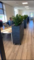 Plantenbakken op maat gemaakt voor uw interieur, Ophalen of Verzenden, Nieuw, Hout, Binnen