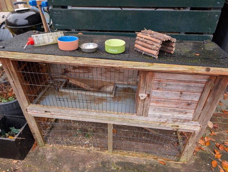 Buitenhok konijn/ cavia, Dieren en Toebehoren, Knaagdieren en Konijnen | Hokken en Kooien, Gebruikt, Hok, 90 cm of meer, 110 cm of meer