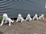 paspoppen / mannequins kinderen, Ophalen