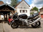 Aprilia Falco SL1000, Motoren, 2 cilinders, Sportuitlaat, Motorrijbewijs A, Meer dan 35 kW