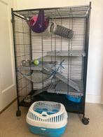 Rattenkooi + reismandje, Dieren en Toebehoren, Ophalen, Minder dan 75 cm, Zo goed als nieuw, 90 cm of meer
