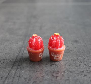 Cactus plantje in pot miniatuur nieuw 1:12 - Model 5 - 1 st beschikbaar voor biedingen