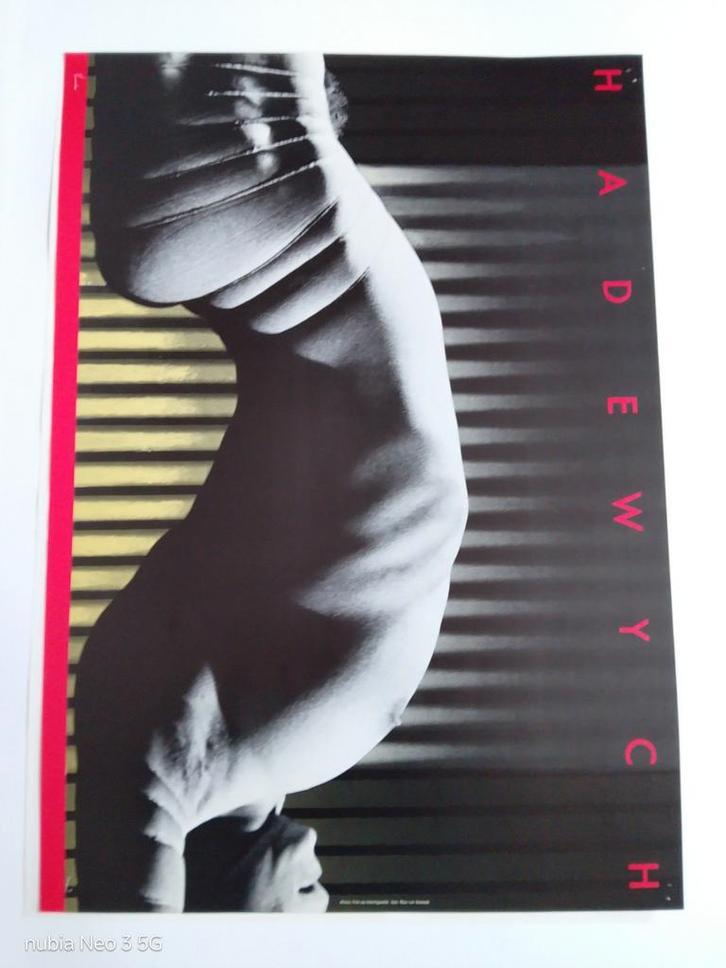 Hadewych Affiche - Frits van Hartingsveldt, Verzamelen, Posters, Zo goed als nieuw, Reclame, A1 t/m A3, Rechthoekig Staand, Ophalen of Verzenden