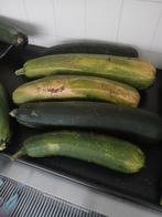 Biologische courgettes, Tuin en Terras, Planten | Tuinplanten, Volle zon, Groenteplanten, Eenjarig, Ophalen of Verzenden