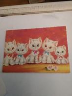 5 WITTE POESJES OP EEN RIJ, Ophalen of Verzenden