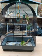 Prachtige vogelkooi  met jonge. Argopornus, Dieren en Toebehoren, Ophalen of Verzenden, Zo goed als nieuw, Metaal, Vogelkooi