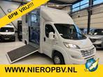 Opel Paardenwagen/Veewagen Hengsten Uitvoering Airco Cruisec, Dieren en Toebehoren, Paarden en Pony's | Trailers en Aanhangwagens