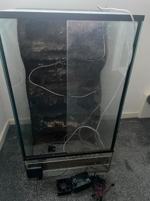 Terrarium met toebehoren 40x40x70 (lxbxh), Dieren en Toebehoren, Reptielen en Amfibieën | Toebehoren, Gebruikt, Terrarium of Paludarium