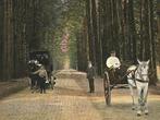 945126 Middachten Allee omstr Arnhem 1915 Gld Gelopen met z, Verzamelen, Ansichtkaarten | Nederland, Ophalen of Verzenden, Voor 1920