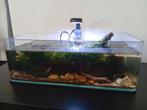 Blau aquarium met toebehoren., Ophalen, Gebruikt, Gevuld zoetwateraquarium