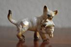 Vintage Beeldje Poes Kat Kitten Siamees Bone China 6,5 cm, Ophalen of Verzenden
