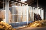Voerwand | Groepshuisvesting | Schuifdeur | Voerplek | 13, Dieren en Toebehoren, Stalling en Weidegang, Stalling, 4 paarden of pony's of meer