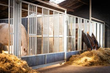 Voerwand | Groepshuisvesting | Schuifdeur | Voerplek | 13 beschikbaar voor biedingen