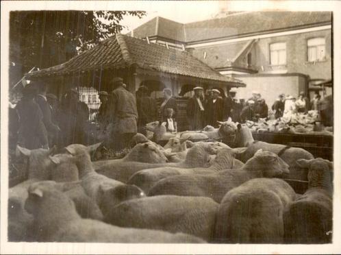 Noord-Holland - Texel - Oosterend, Verzamelen, Ansichtkaarten | Nederland, Gelopen, Noord-Holland, Voor 1920, Verzenden