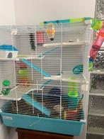 Cage, Dieren en Toebehoren, Kooi, 60 tot 90 cm, Minder dan 75 cm, Hamster
