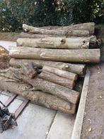 11 kuub Haardhout - Stammen els en es., 6 m³ of meer, Ophalen of Verzenden, Essenhout, Stammen