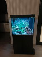 Juwel Lido 200 met Juwel Helialux Spectrum, Dieren en Toebehoren, Ophalen of Verzenden, Zo goed als nieuw, Leeg aquarium