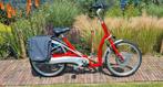 Van Raam Balance Elektrische fiets., 51 tot 55 cm, Ophalen, Zo goed als nieuw, Overige merken