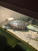 Groot Aquarium gezocht!, Dieren en Toebehoren, Vissen | Aquaria en Toebehoren, Ophalen, Leeg aquarium