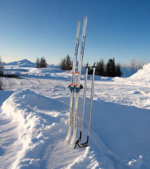 Langlaufski's van Dynastar, model Fjord, incl. skistokken., Sport en Fitness, Skiën en Langlaufen, Zo goed als nieuw, Ski's, Overige merken