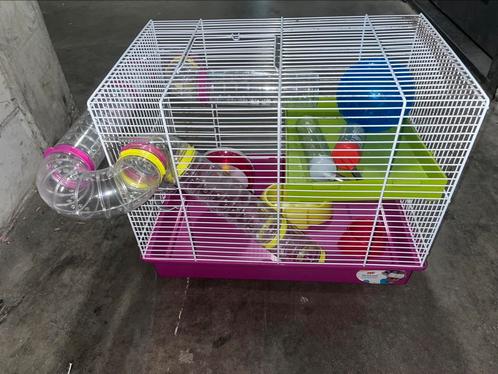 hamsterkooi, Dieren en Toebehoren, Knaagdieren en Konijnen | Hokken en Kooien, Kooi, Minder dan 60 cm, Minder dan 75 cm, Hamster