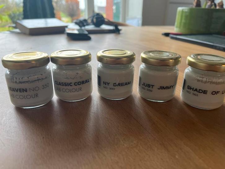 5 LAB Verf Sample Potjes LAB paint- Diverse Kleuren, Doe-het-zelf en Verbouw, Verf, Beits en Lak, Gebruikt, Verf, Minder dan 5 liter