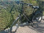Giant Attend CS 1, Ophalen, 53 tot 56 cm, Nieuw, Giant