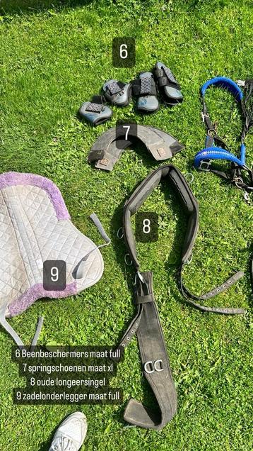 Paardenspullen kleine prijs beschikbaar voor biedingen