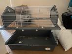 Cavia/konijnen hok, Dieren en Toebehoren, Ophalen, 110 cm of meer, Zo goed als nieuw, 90 cm of meer
