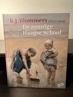 BJ Blommers de zonnige Haagse school, Ophalen of Verzenden, Zo goed als nieuw, Schilder- en Tekenkunst