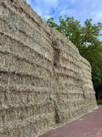 Middel - grote pakken hooi beschikbaar voor biedingen