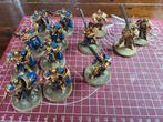Stormcast Eternals Vindictors en Paladins, Hobby en Vrije tijd, Wargaming, Ophalen of Verzenden, Zo goed als nieuw, Warhammer