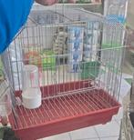 ZANGKOOI VOGELKOOI  ZANGKOOITJE, Dieren en Toebehoren, Ophalen of Verzenden, Nieuw, Metaal, Vogelkooi