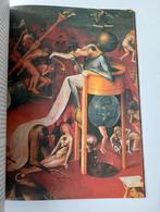 Hieronymus Jeroen Bosch - Walter Bosing, Ophalen of Verzenden, Gelezen, Overige onderwerpen, Walter Bosing