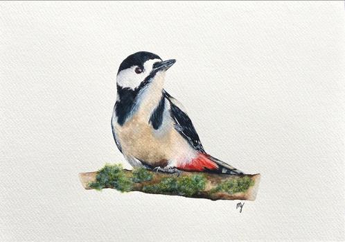 Aquarel grote bonte specht 21x29,7, Antiek en Kunst, Kunst | Schilderijen | Modern, Ophalen of Verzenden